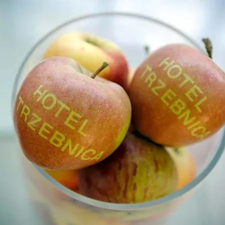 Hotel Trzebnica 4*