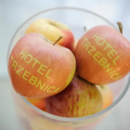 Hotel Trzebnica Hotell Trzebnica