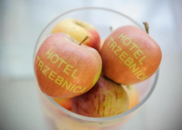 Hotel Trzebnica Hotel Trzebnica